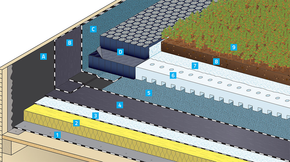 bessis-naming-canopia-creation-nom