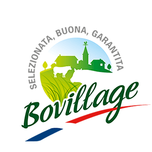 bessis-naming-bovillage-creation-nom